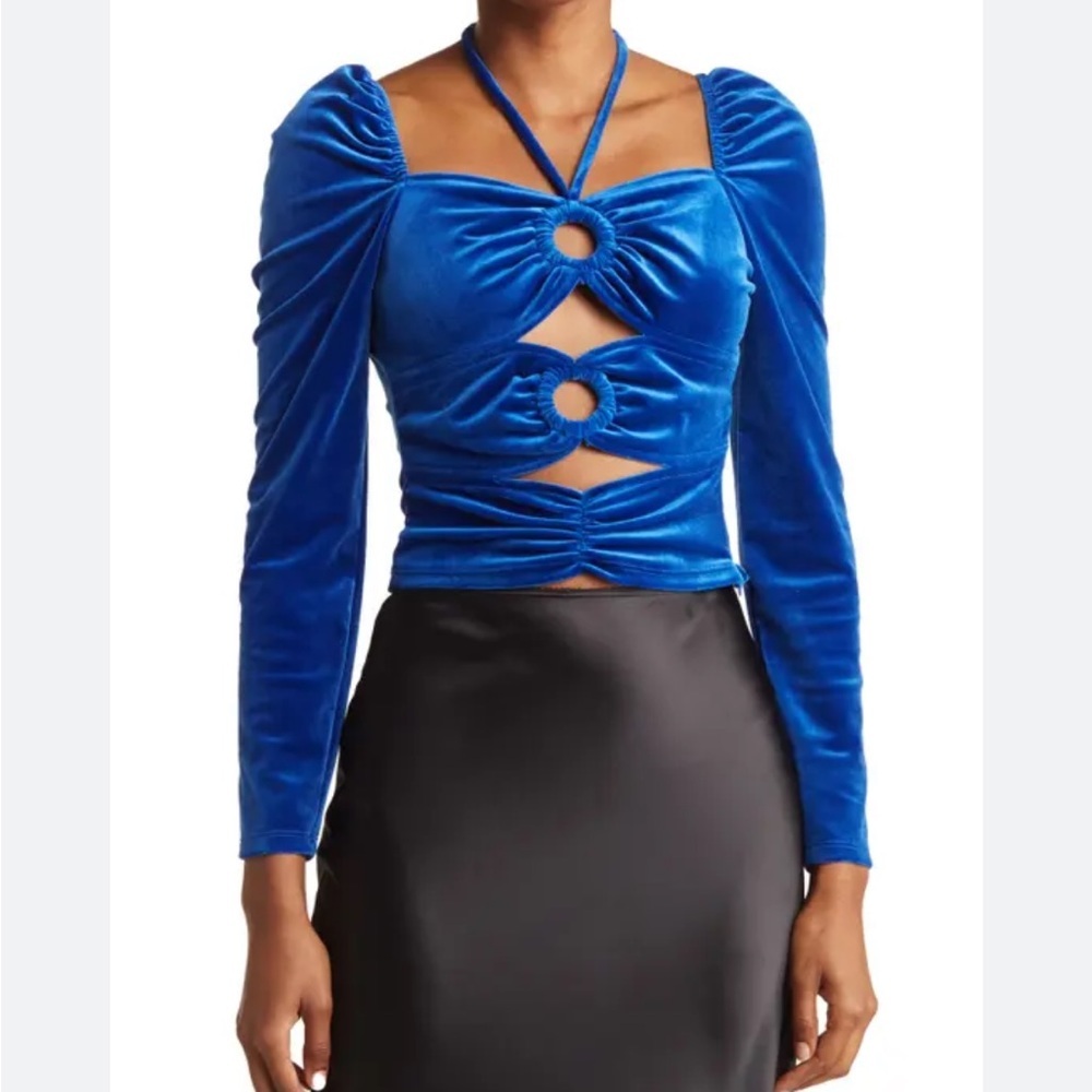Torn by Ronny Kobo Royal Blue Velvet Cutout Crop Top